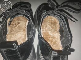 在家玩我姐原味内衣内裤和小皮鞋1