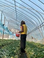 骚逼舅妈换脸视频0