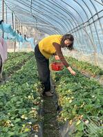 骚逼舅妈换脸视频1