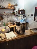 丈母娘！！！如何得到1