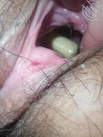 老婆的骚逼1