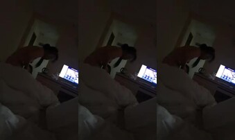 交友