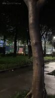 公司职员之——人妻欲望篇雨天楼道露出（十三）