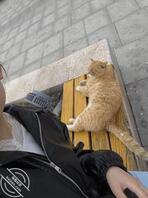 【欣欣日记】010.和男友清明去生殖中心看医生，背着男友在医院漏出2