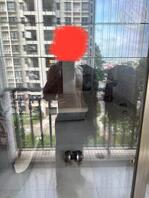 湛江附近寻找熟女阿姨妈妈保姆奶妈干妈绿母儿和绿帽男和乱伦母子玩3p乱伦