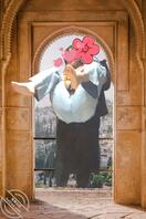 （原创）嫩逼女儿 已成年 十四贴