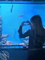 我用我的厚颜无耻把表弟和他的未婚妻小雅骗到酒店里操了1