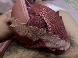 姐姐胸罩打飞机1