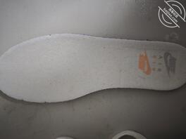 妹妹的原味鞋子1