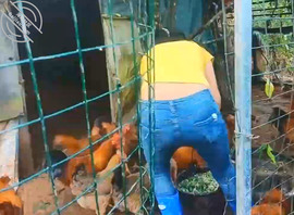 我和我的妻妈的故事2