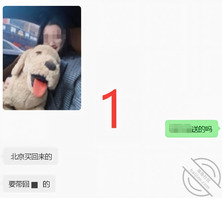 【中场休息】我尝试过表白小姨子，或者说撩骚她。