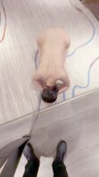 【重磅】7p！和朋友们一起调操翻母狗，捆绑起来虐玩无限高潮视频，绝对原创