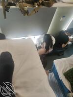 火车上的美女0