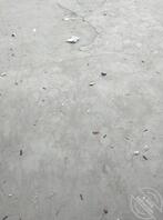 想上妈妈，求大佬指教2