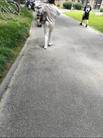 路拍熟女
