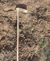 【海角原创】100回乡下爷爷家帮忙干大棚农活,姐姐就会在一旁骚了骚的..2