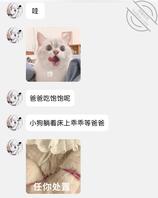 母狗高中