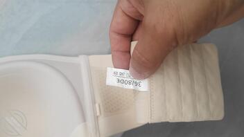 我的大胸姐姐