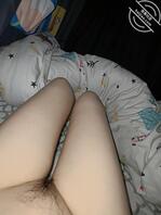 小狗1