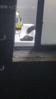 拍到对面 美女洗澡