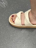 背影2