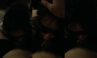 母狗养成记