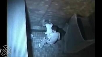 鲍鱼0