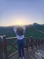 舅妈卫生间的内裤，看完睡不着了，我要不要看照片打飞机1