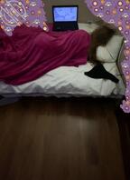 &zeta;ั͡✿趁表姐熟睡 偷偷插入她的逼逼 ♡❤