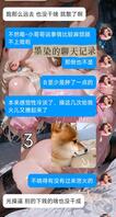 平安回到南京啦~2
