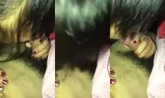 yj吃我的鸡吧