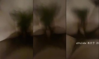 东北小母狗