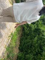 又拍着一个大肥臀少妇，。。。带劲1