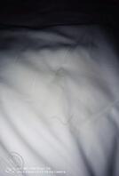 午休继续被肏