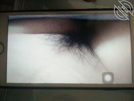 上海交流绿母0