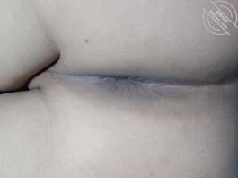 只有菊花没有小鸡2