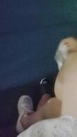 （乱伦姐妹花31）和妹妹在人来人往的路边长椅上做爱 - 视频2