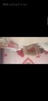 人妻同事+后续+10