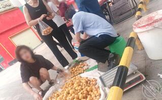 【露出系列】户外人前露出骚穴1