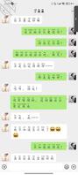 天塌了，小姨子恋爱了2