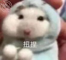 3妹妹来找我2