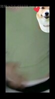 人妻舞蹈