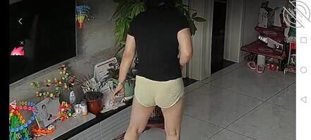 梦想实现，上下齐开丈母娘2