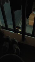 第一次发贴