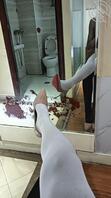 戴锁伪娘2