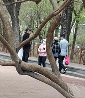 公园老头乐1