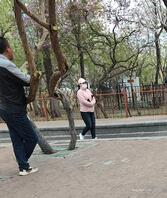 公园老头乐