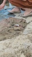 妈妈的丝袜骚脚