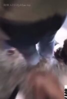 街射