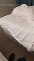 我爱我姐10